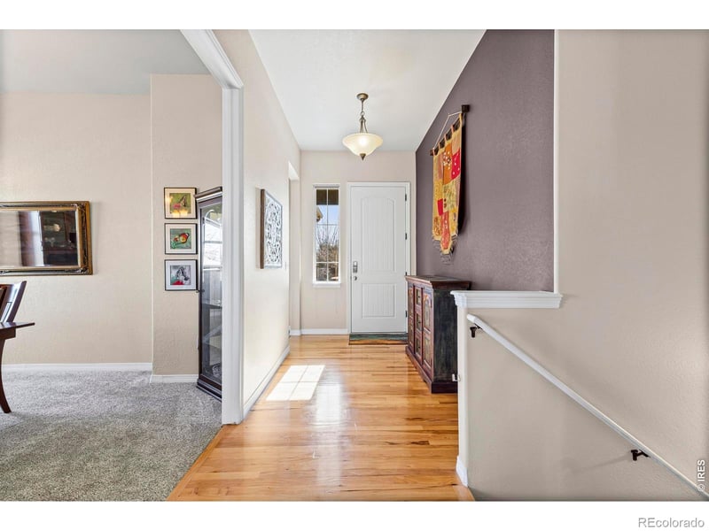 2020 Vineyard Ct, Windsor, CO 80550