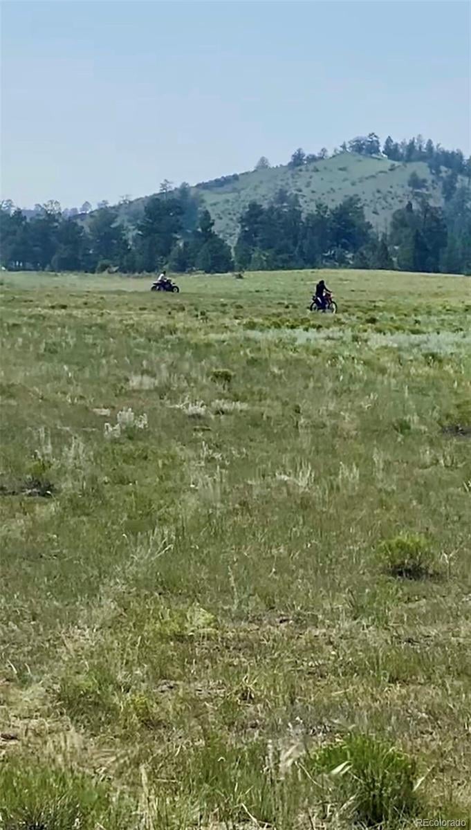 127 Sedgewich Dr, Hartsel, CO 80449