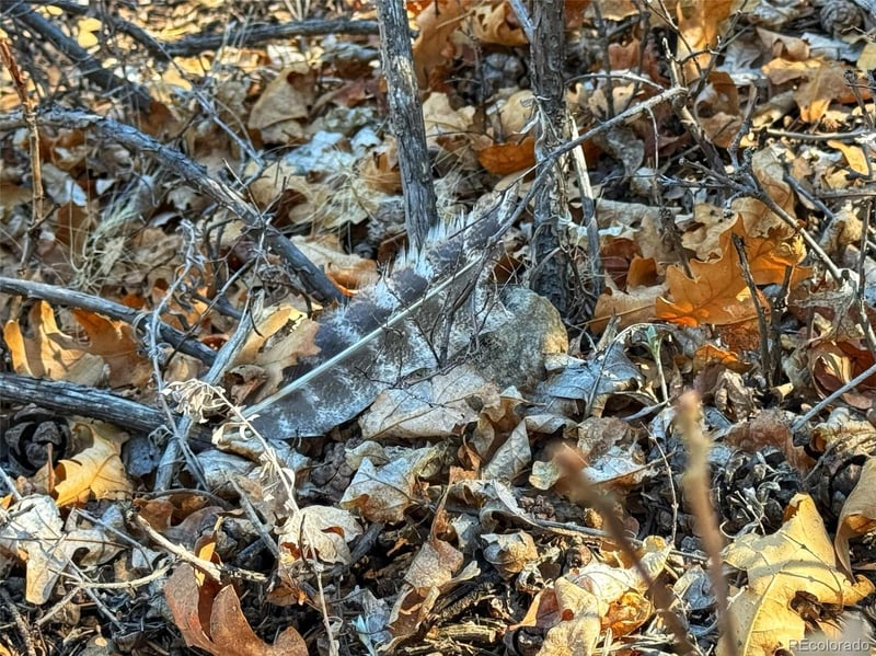 Tbd Country Road 572, Gardner, CO 81030