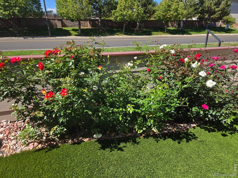 615 Ridgeview Dr, Louisville, CO 80027