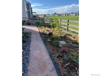 1938 Knobby Pine Dr, Fort Collins, CO 80528