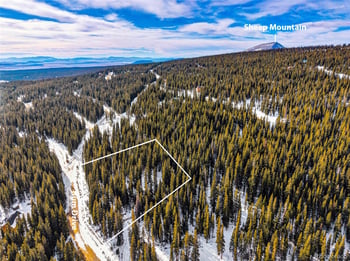 345 Bum Dr, Fairplay, CO 80440