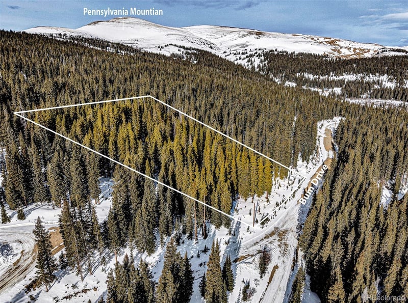 345 Bum Dr, Fairplay, CO 80440