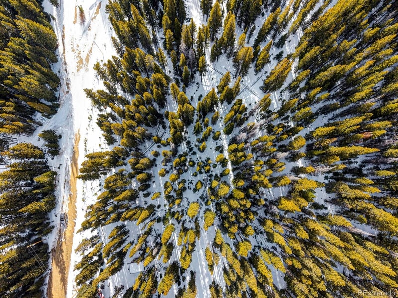 345 Bum Dr, Fairplay, CO 80440