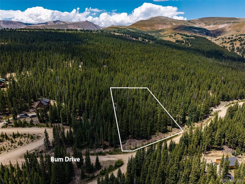 345 Bum Dr Lot 887, Fairplay, CO 80440