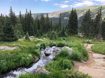 1920 Spruce Ave, Longmont, CO 80501