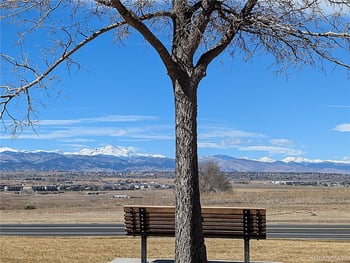 1151 Goldenrod Cir, Broomfield, CO 80020