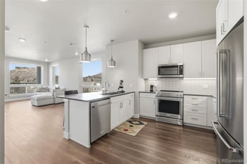 20 Wilcox St #410, Castle Rock, CO 80104