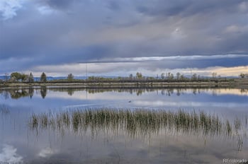 253 Beldock Ct, Brighton, CO 80601