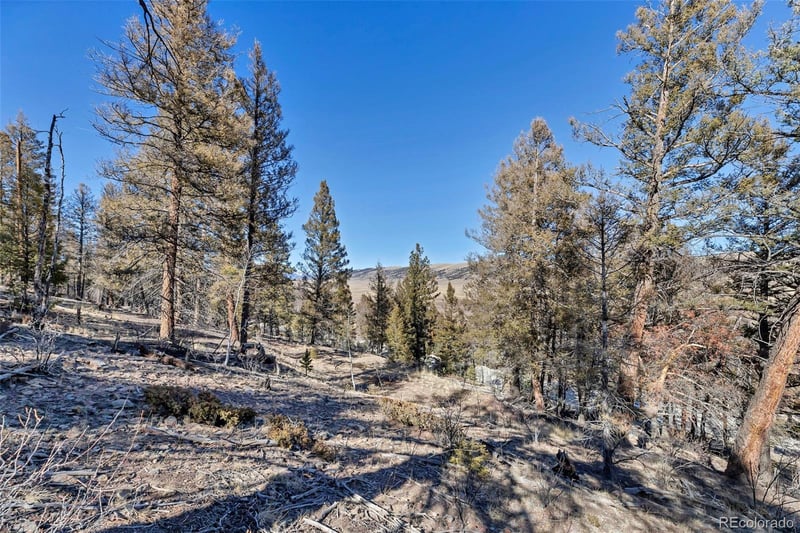 1467 Redhill Rd, Fairplay, CO 80440
