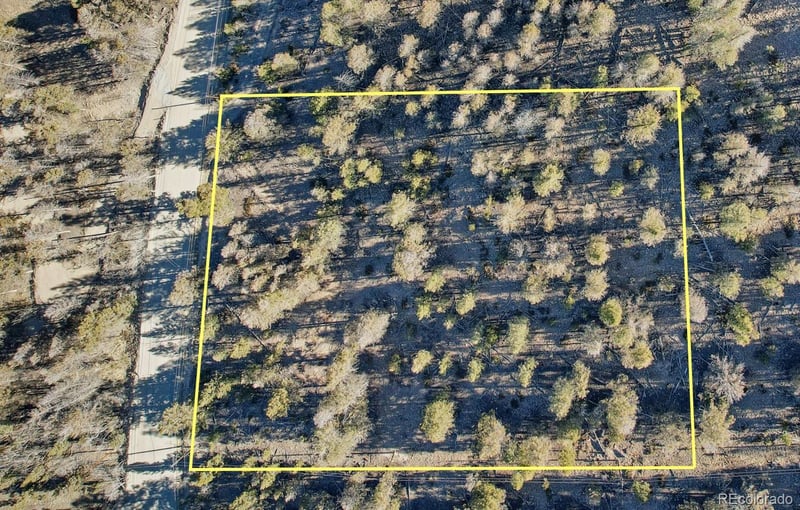 1467 Redhill Rd, Fairplay, CO 80440
