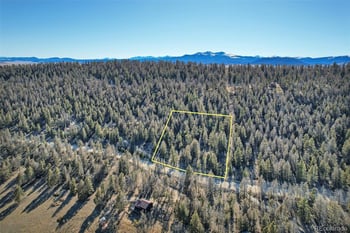 1467 Redhill Rd, Fairplay, CO 80440