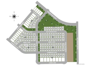 827 Mesic Ln, Windsor, CO 80550