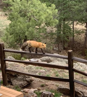 25100 Sunset Ln, Evergreen, CO 80439