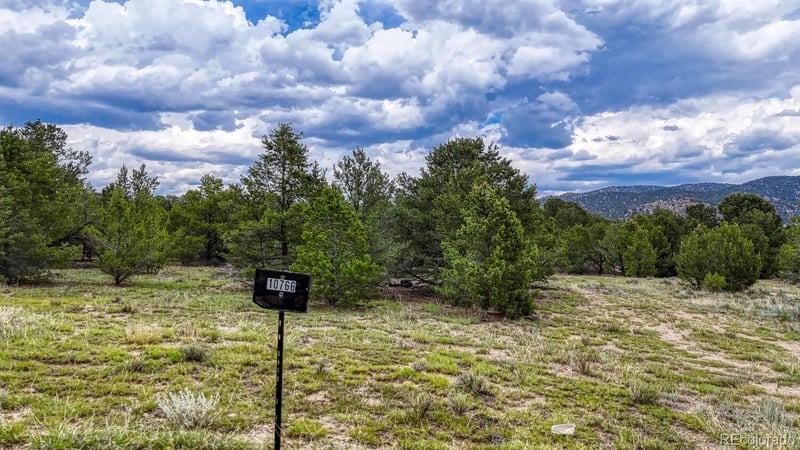10766 Sawatch Range Rd Lot 8, Salida, CO 81201