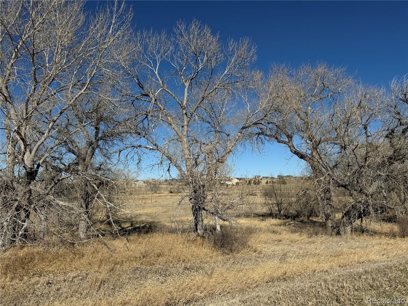 2427 Elkhorn Ranch St Lot 0063, Parker, CO 80138