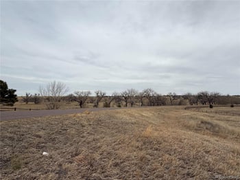 2427 Elkhorn Ranch St, Parker, CO 80138