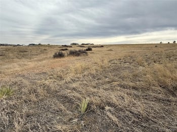 2427 Elkhorn Ranch St, Parker, CO 80138