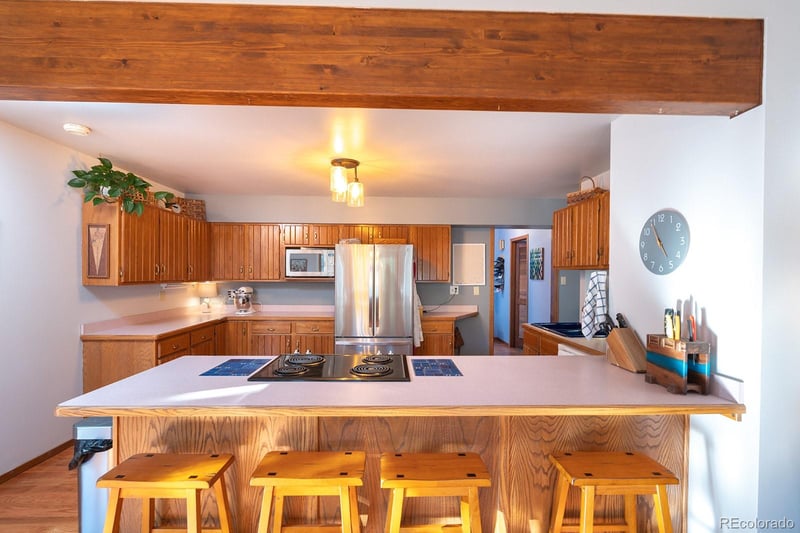 16670 Mt Princeton Rd, Buena Vista, CO 81211