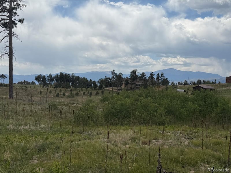 13810 Wildoak Dr, Colorado Springs, CO 80908