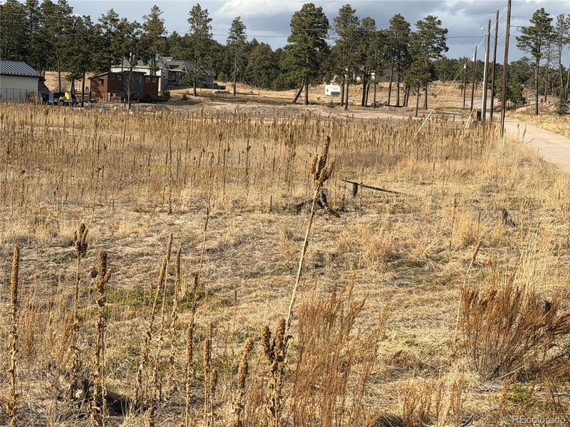 13810 Wildoak Dr, Colorado Springs, CO 80908