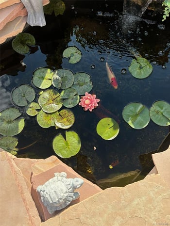 302 Horizon Ave, Lochbuie, CO 80603