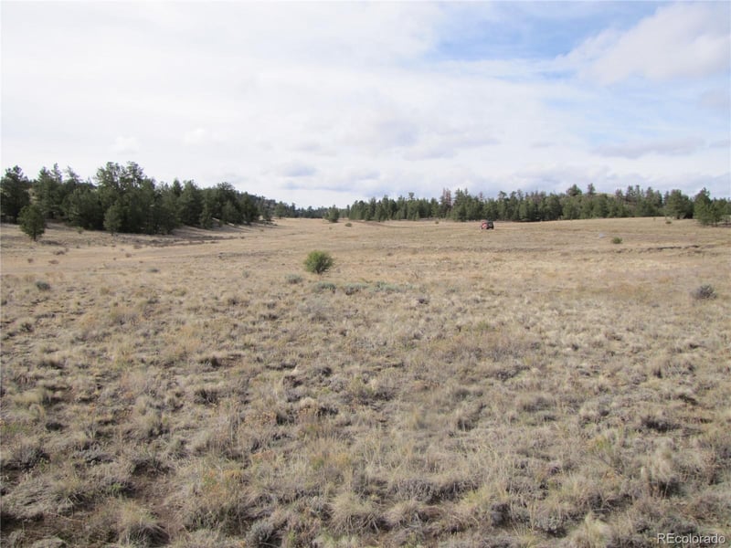 487 Falcon Rd, Hartsel, CO 80449
