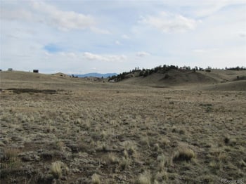 487 Falcon Rd, Hartsel, CO 80449