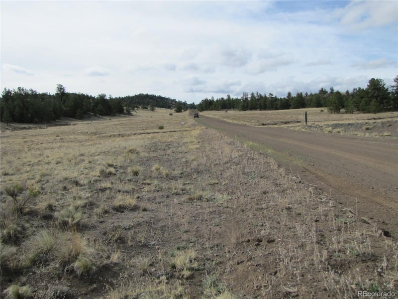 487 Falcon Rd, Hartsel, CO 80449