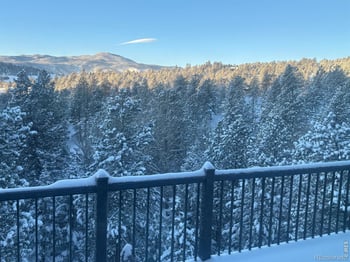 1406 Pika Rd, Boulder, CO 80302
