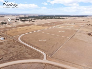 30999 Kootney St, Elizabeth, CO 80107