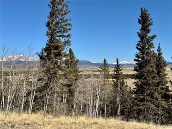 1872 High Creek Rd, Fairplay, CO 80440