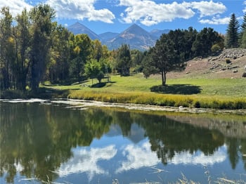 548 Shamrock Ln, Howard, CO 81233