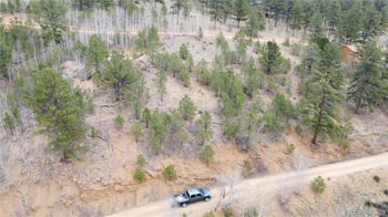 397 Neish St, Bailey, CO 80421