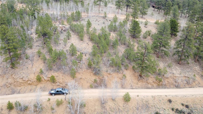 397 Neish St, Bailey, CO 80421