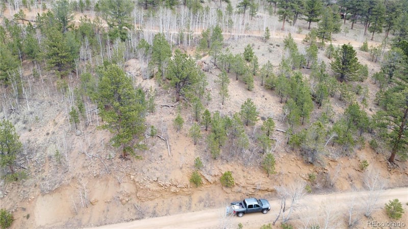 367 Neish St, Bailey, CO 80421