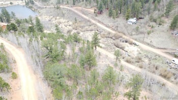 367 Neish St, Bailey, CO 80421