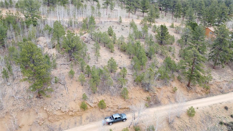 367 Neish St, Bailey, CO 80421