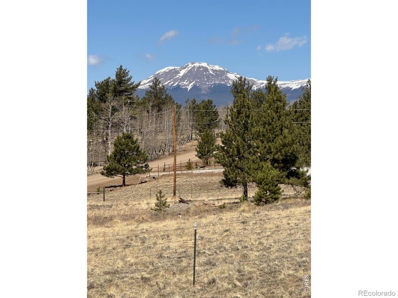 2841 Singletree Rd, Hartsel, CO 80449