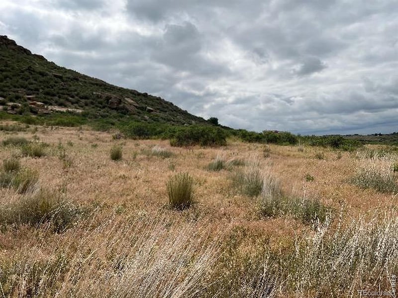 4318 Green Mile Dr, Laporte, CO 80535