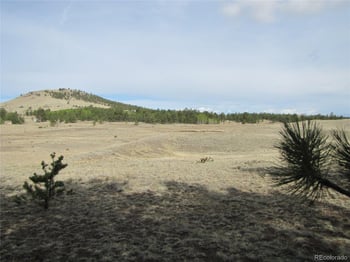 575 Falcon Rd, Hartsel, CO 80449
