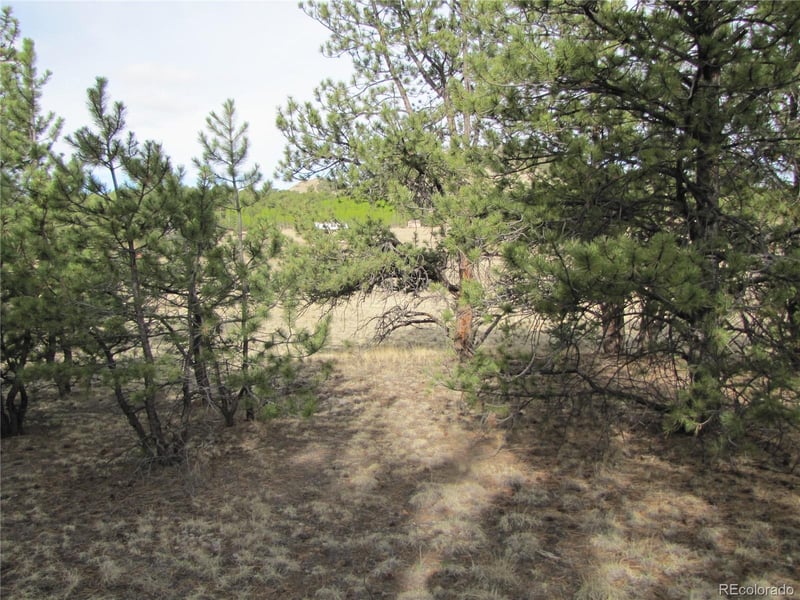 575 Falcon Rd, Hartsel, CO 80449