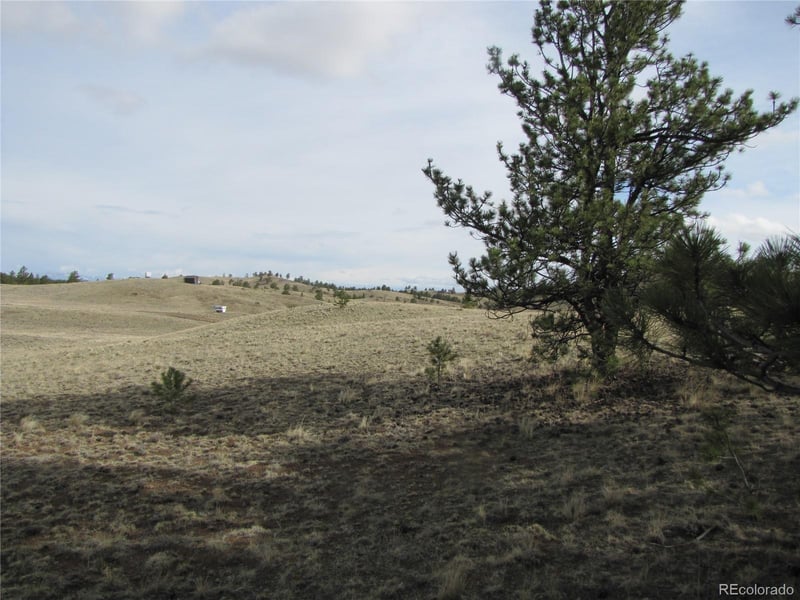 575 Falcon Rd, Hartsel, CO 80449