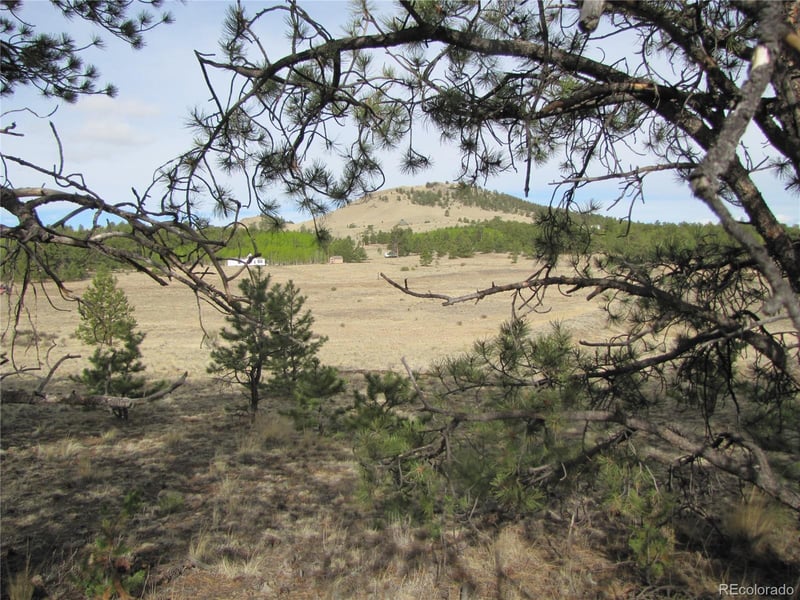 575 Falcon Rd, Hartsel, CO 80449