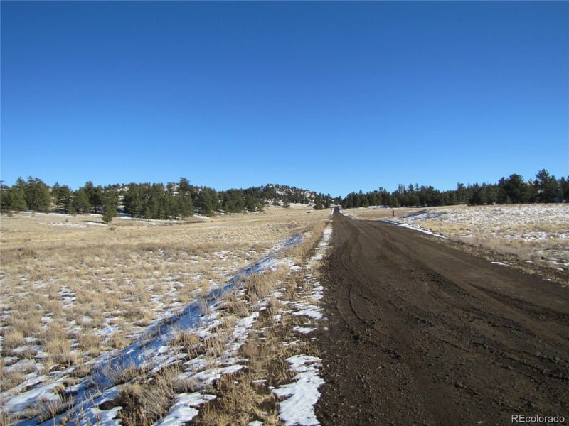 575 Falcon Rd, Hartsel, CO 80449