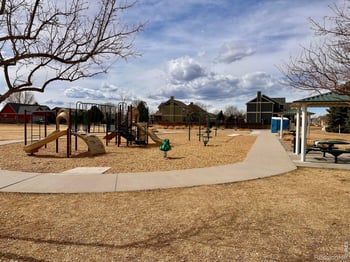 4214 Woodlake Ln, Wellington, CO 80549