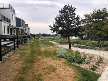 111 Cayauga Way, Superior, CO 80027