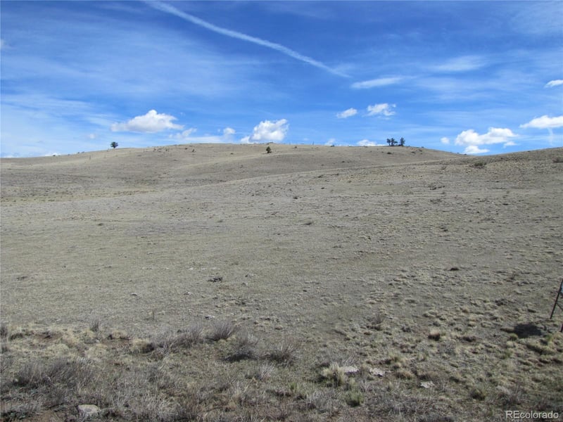 323 Idaho Trl, Hartsel, CO 80449