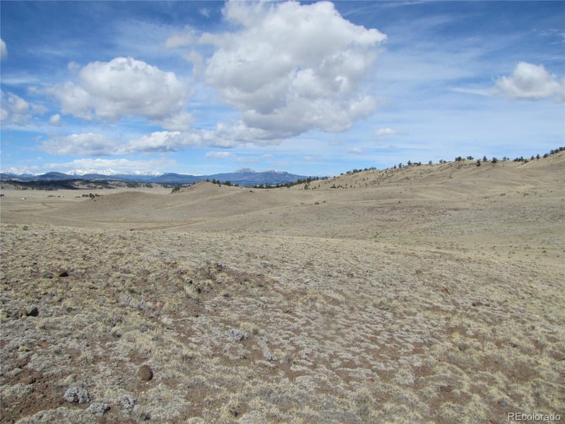 323 Idaho Trl, Hartsel, CO 80449