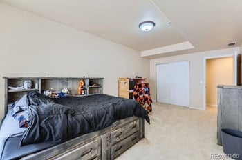 815 Meadow Ln, Palmer Lake, CO 80133